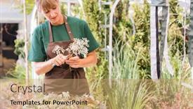  Presentation with decoration - Slides with gardener-woman-creating-grave-decoration background and a coral colored foreground