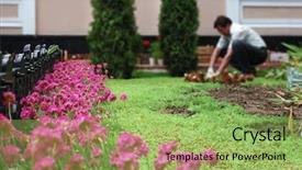  Presentation with flower - Colorful PPT layouts enhanced with gardener working at flower bed backdrop and a  colored foreground