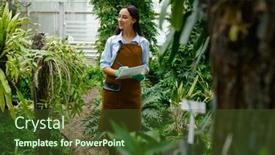  Presentation with plants growing - PPT layouts featuring gardener-working-in-greenhouse-growing background and a tawny brown colored foreground