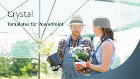  Presentation with flower pots - Slide set consisting of gardeners discussing over flower pots at greenhouse background and a sky blue colored foreground