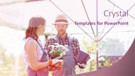  Presentation with flower pots - Slide deck enhanced with gardeners discussing over flower pots at greenhouse background and a pink colored foreground