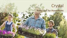  Presentation with flower pots - PPT layouts enhanced with gardeners looking away while carrying crates with flower pots at garden background and a soft green colored foreground