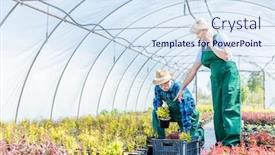  Presentation with order - Slides enhanced with gardeners-selecting-plants background and a sky blue colored foreground