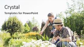  Presentation with nursery plant - Cool new slides with garden group trees - gardeners working at plant nursery backdrop and a white colored foreground