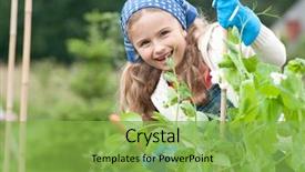  Presentation with vegetable gardening - Slide set consisting of gardening - little girl working background and a seafoam green colored foreground