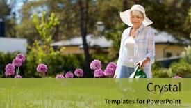  Presentation with summer flowers - Cool new slide set with gardening and people concept - happy backdrop and a gold colored foreground