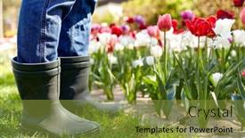  Presentation with summer flowers - Slide set with gardening-and-people-concept-close background and a gold colored foreground