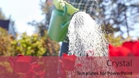  Presentation with gardening - Presentation featuring gardening-and-people-concept-close background and a red colored foreground