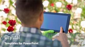  Presentation with summer flowers - Slides consisting of gardening-and-people-concept-close background and a  colored foreground