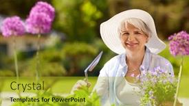  Presentation with summer flowers - Slide deck featuring gardening and people concept - happy senior woman planting flowers at summer garden background and a gold colored foreground