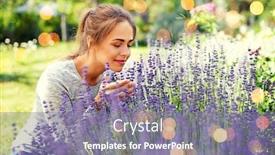  Presentation with lavender flowers - Colorful presentation theme enhanced with gardening-and-people-concept-happy backdrop and a gray colored foreground
