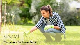  Presentation with gardening - Beautiful PPT theme featuring gardening-and-people-concept-happy backdrop and a blonde colored foreground