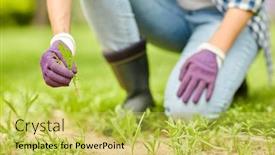  Presentation with gardening - Presentation theme enhanced with gardening-and-people-concept-happy background and a yellow colored foreground