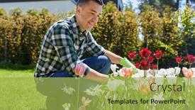  Presentation with aged care - Colorful theme enhanced with gardening-and-people-concept-happy backdrop and a yellow colored foreground