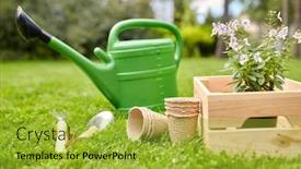  Presentation with summer flowers - Amazing presentation design having gardening-and-people-concept-watering backdrop and a yellow colored foreground