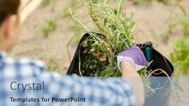  Presentation with weed - Amazing presentation design having gardening-and-people-concept-woman backdrop and a light blue colored foreground