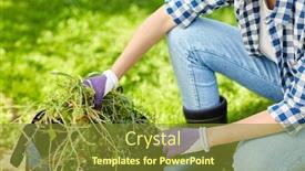  Presentation with gardening - Presentation theme consisting of gardening-and-people-concept-woman background and a gold colored foreground