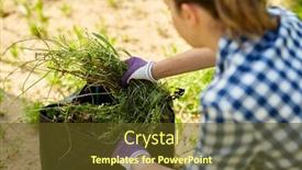  Presentation with gardening - Slide set having gardening-and-people-concept-woman background and a tawny brown colored foreground