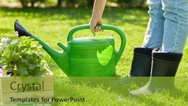  Presentation with summer flowers - Slide deck enhanced with gardening-and-people-concept-woman background and a gold colored foreground