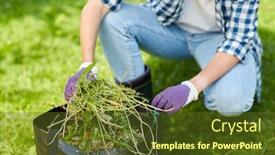  Presentation with gardening - Presentation design consisting of gardening-and-people-concept-woman background and a tawny brown colored foreground