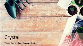  Presentation with botanical - Cool new theme with gardening and planting concept - close backdrop and a lemonade colored foreground