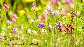  Presentation with botany - PPT theme consisting of gardening-botany-and-flora-concept background and a yellow colored foreground