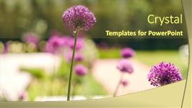  Presentation with botany - Presentation design having gardening-botany-and-nature-concept background and a tawny brown colored foreground