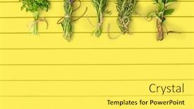  Presentation with botany - PPT layouts featuring gardening-botany-and-organic-concept background and a yellow colored foreground