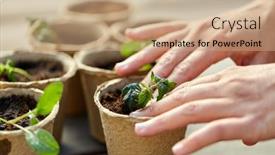  Presentation with vegetable gardening - Audience pleasing theme consisting of gardening-eco-and-organic-concept backdrop and a coral colored foreground