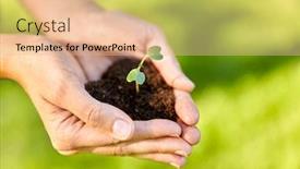  Presentation with gardening - Colorful slide set enhanced with gardening-environment-and-nature-concept backdrop and a lemonade colored foreground