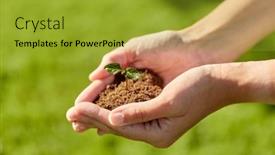  Presentation with hands-holding - Slide deck having gardening-environment-and-nature-concept background and a gold colored foreground