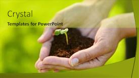  Presentation with gardening - Beautiful theme featuring gardening-environment-and-nature-concept backdrop and a yellow colored foreground