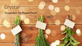  Presentation with peppermint - Amazing slides having gardening-ethnoscience-and-herbs-concept backdrop and a yellow colored foreground