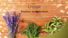  Presentation with peppermint - Audience pleasing slide set consisting of gardening-ethnoscience-and-herbs-concept backdrop and a coral colored foreground