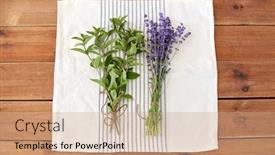  Presentation with kitchen towel - Presentation design consisting of gardening-ethnoscience-and-organic-concept background and a coral colored foreground