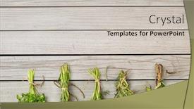  Presentation with gardening - Slides consisting of gardening-ethnoscience-and-organic-concept background and a light gray colored foreground