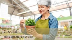  Presentation with old people - Presentation enhanced with gardening-farming-and-old-people background and a yellow colored foreground