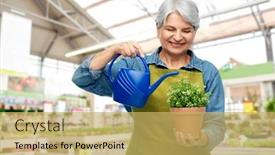  Presentation with old people - Beautiful presentation featuring gardening-farming-and-old-people backdrop and a yellow colored foreground
