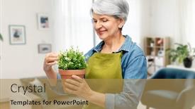  Presentation with old people - Colorful presentation enhanced with gardening-farming-and-old-people backdrop and a yellow colored foreground