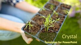  Presentation with farming - Slide set with gardening-farming-and-people-concept background and a tawny brown colored foreground