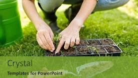  Presentation with flower pots - Colorful presentation design enhanced with gardening-farming-and-people-concept backdrop and a tawny brown colored foreground