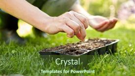  Presentation with flower pots - PPT theme having gardening-farming-and-people-concept background and a tawny brown colored foreground