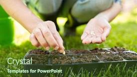  Presentation with flower pots - Beautiful presentation theme featuring gardening-farming-and-people-concept backdrop and a tawny brown colored foreground