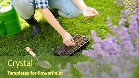  Presentation with flower pots - Audience pleasing slide set consisting of gardening-farming-and-people-concept backdrop and a tawny brown colored foreground