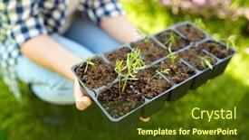  Presentation with farming - Audience pleasing PPT theme consisting of gardening-farming-and-people-concept backdrop and a tawny brown colored foreground