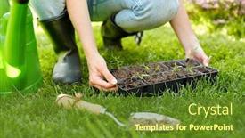 Presentation with farming - Slide set having gardening-farming-and-people-concept background and a tawny brown colored foreground