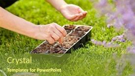  Presentation with flower pots - Audience pleasing presentation design consisting of gardening-farming-and-people-concept backdrop and a tawny brown colored foreground