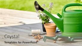  Presentation with summer flowers - Slide deck enhanced with gardening-farming-and-planting-concept background and a mint green colored foreground