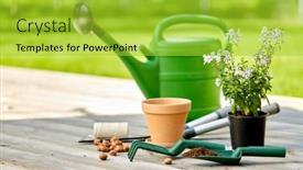  Presentation with summer flowers - Slides enhanced with gardening-farming-and-planting-concept background and a yellow colored foreground