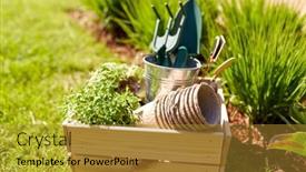  Presentation with flower pots - Presentation theme enhanced with gardening-farming-and-planting-concept background and a gold colored foreground